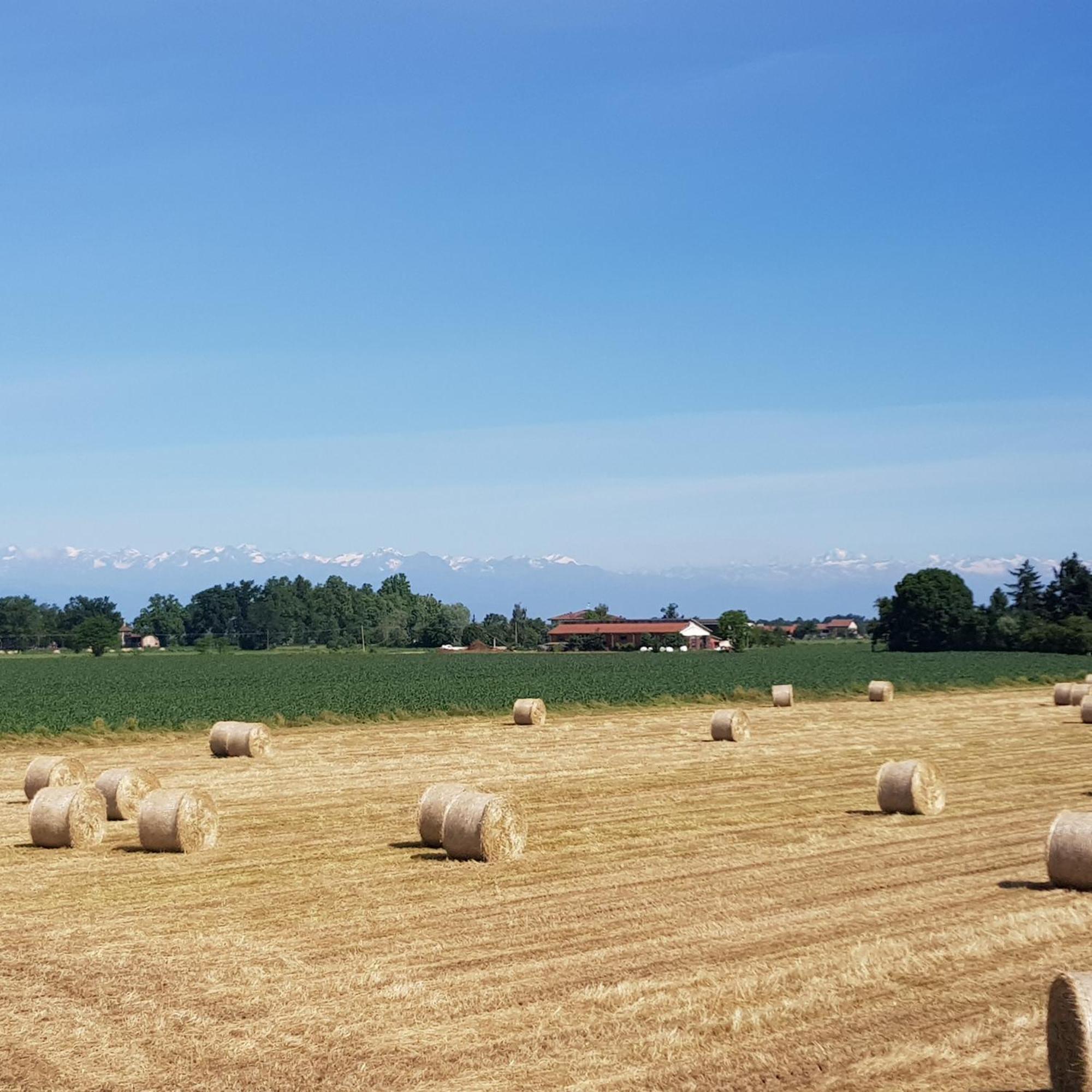 Cascina Dei Fiori 호텔 San Lorenzo  외부 사진
